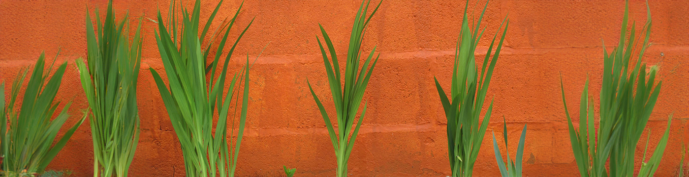 Sativa Paysage Architecte Paysagiste A Vendome Banner 20