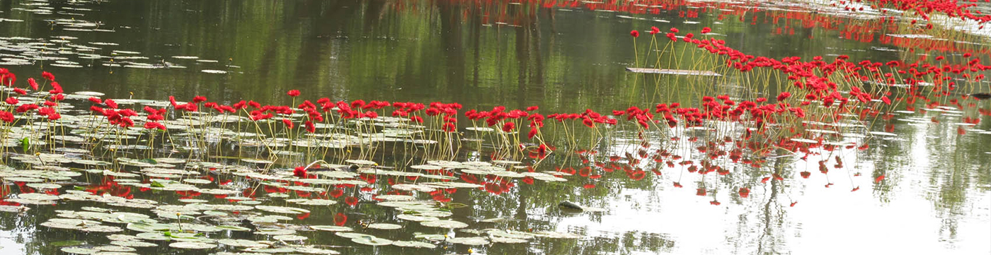 Sativa Paysage Architecte Paysagiste A Vendome Banner 22