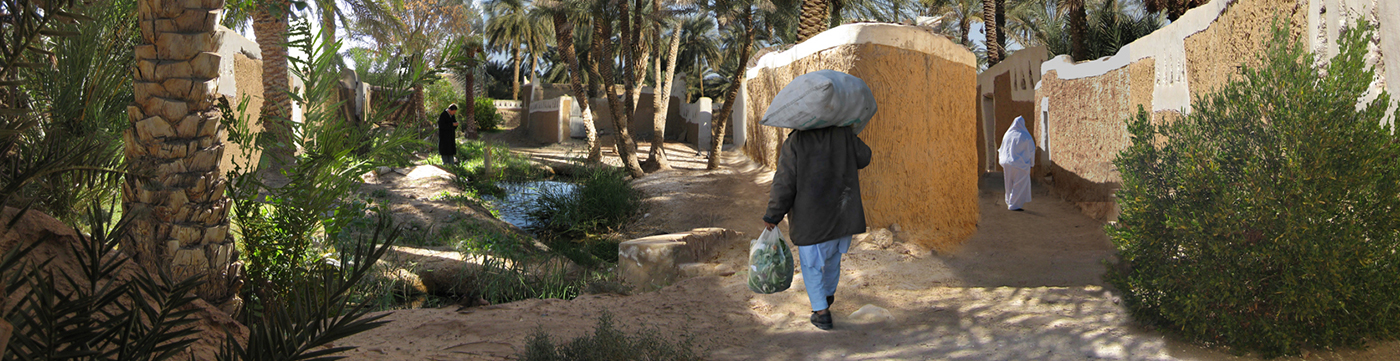 Sativa Paysage Architecte Paysagiste A Vendome Banner 26