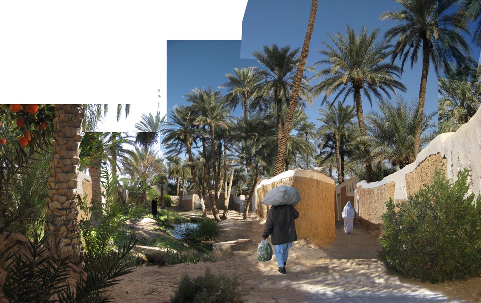 Sativa Paysage Architecte Paysagiste A Vendome Img 4 21