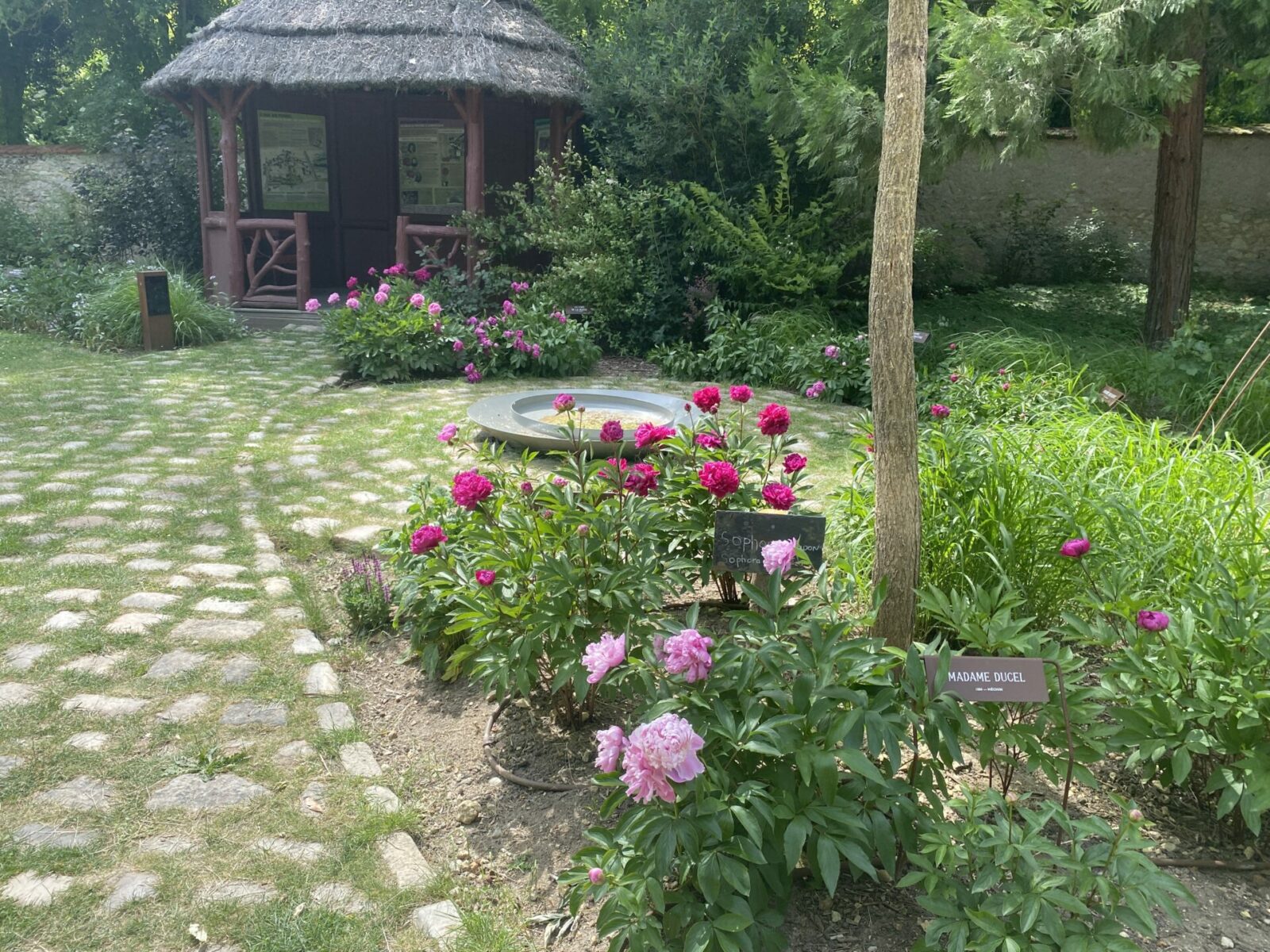 Sativa Paysage Architecte Paysagiste A Vendome IMG 7004