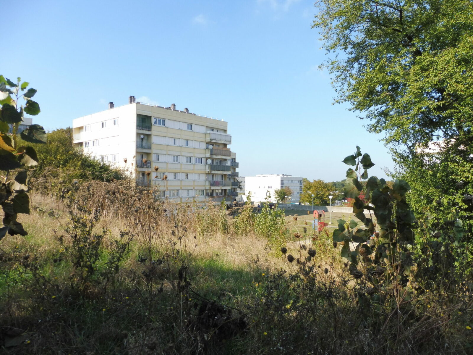 Sativa Paysage Architecte Paysagiste A Vendome P1020548