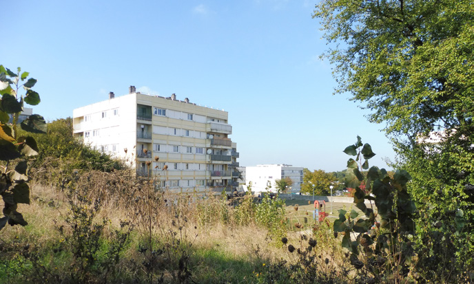 Sativa Paysage Architecte Paysagiste A Vendome Slide 6