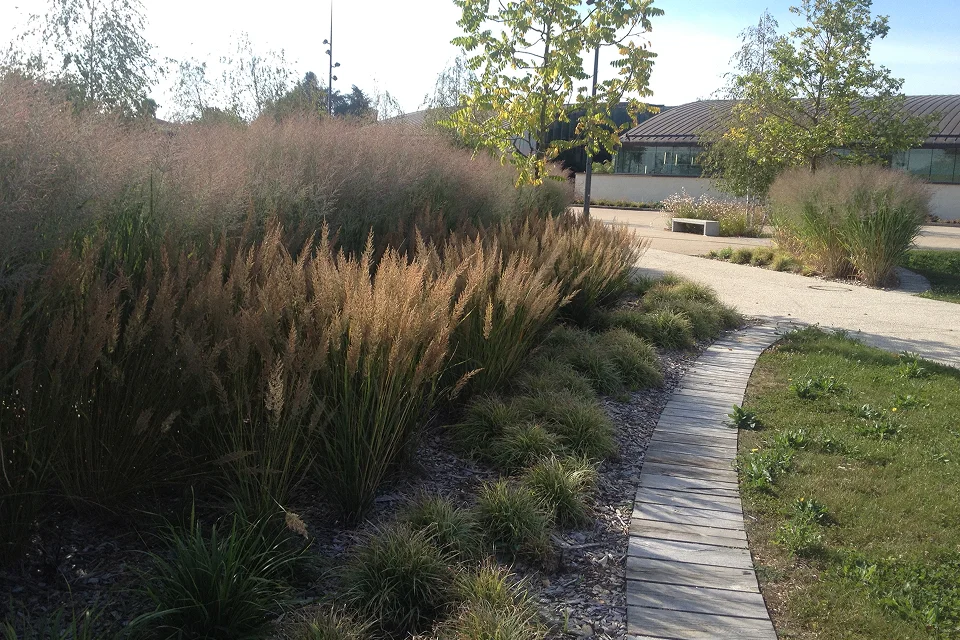 Sativa Paysage Architecte Paysagiste A Vendome EQ Saintes Guyarderie Mise En Avant