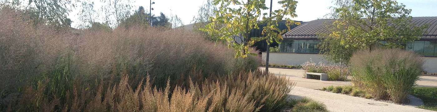 Sativa Paysage Architecte Paysagiste A Vendome EQ Saintes Guyarderie Slide