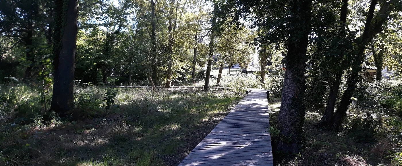 Sativa Paysage Architecte Paysagiste A Vendome Slider 8