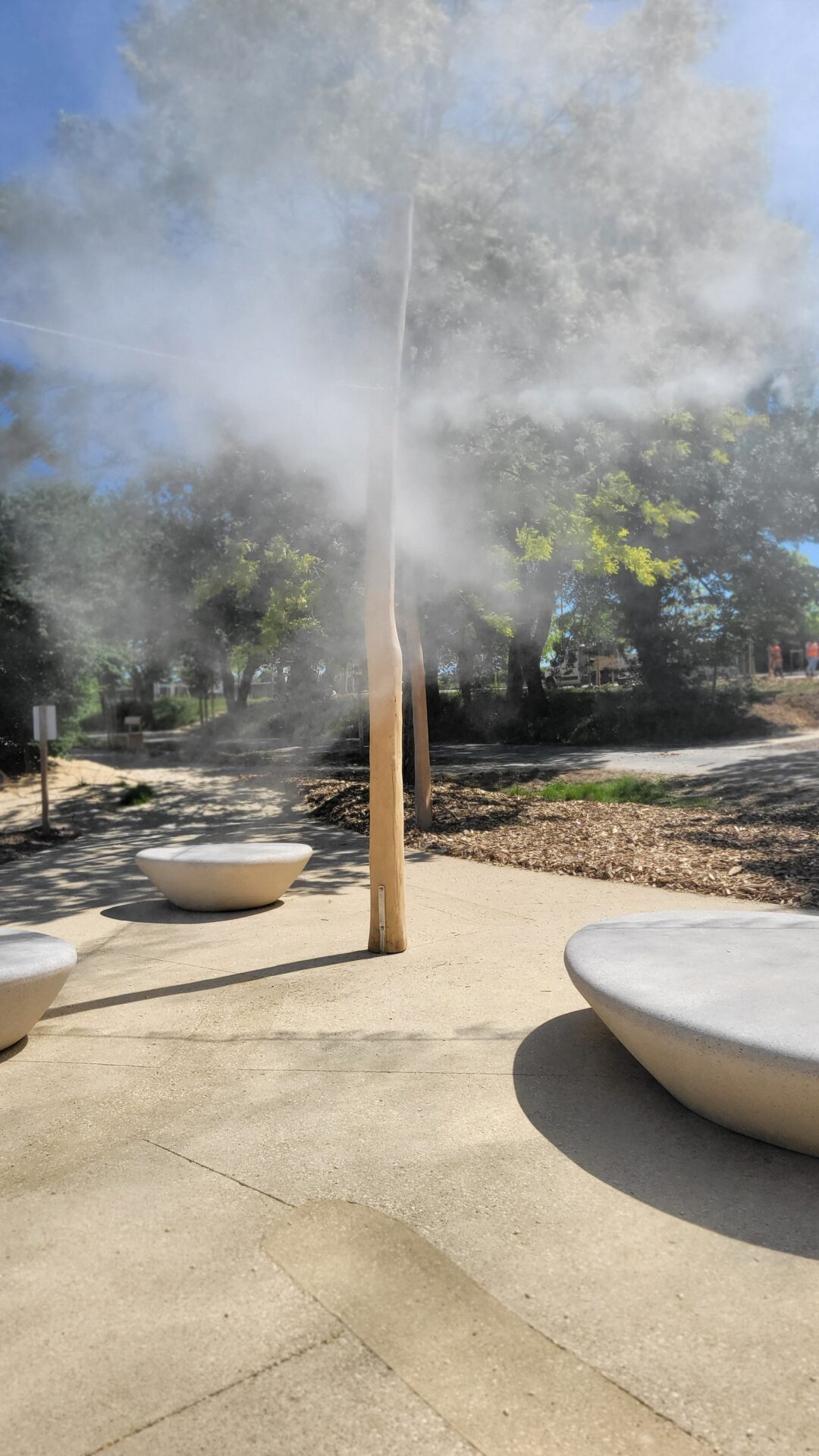 Sativa Paysage Architecte Paysagiste A Vendome 20250516 120617