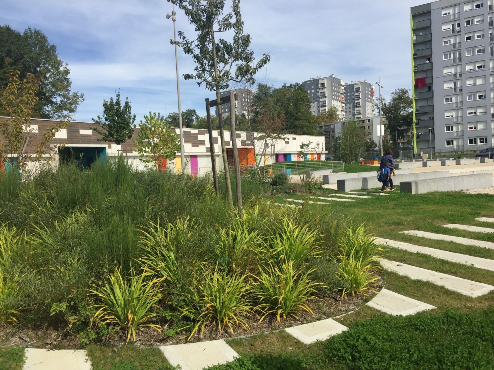 Sativa Paysage Architecte Paysagiste A Vendome IMG 5417