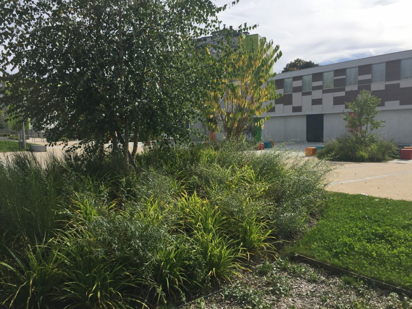 Sativa Paysage Architecte Paysagiste A Vendome IMG 5425