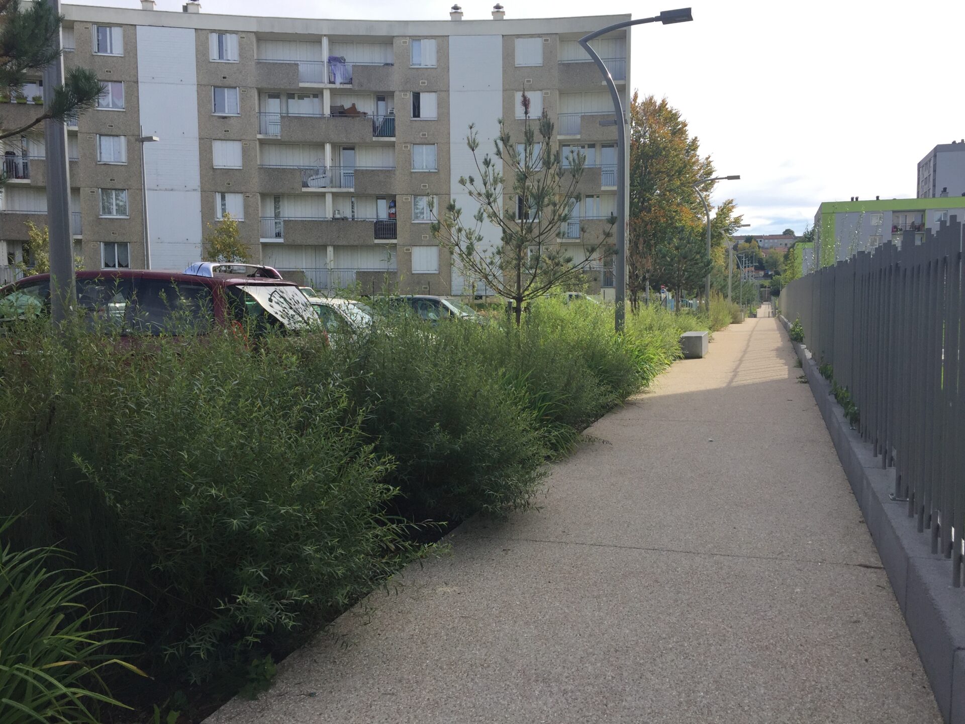 Sativa Paysage Architecte Paysagiste A Vendome IMG 5438