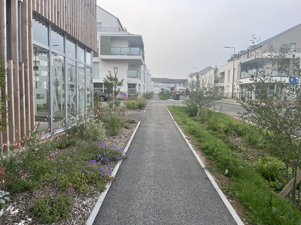 Sativa Paysage Architecte Paysagiste A Vendome IMG 9905 Grande